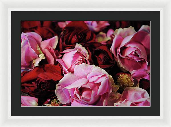 Raw Flowers 20 - Framed Print