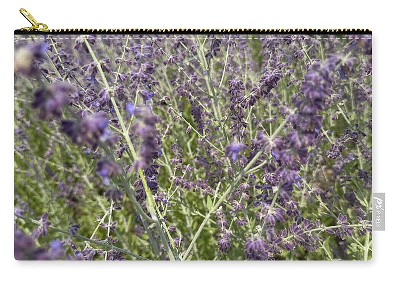 Russian Sage - Zip Pouch