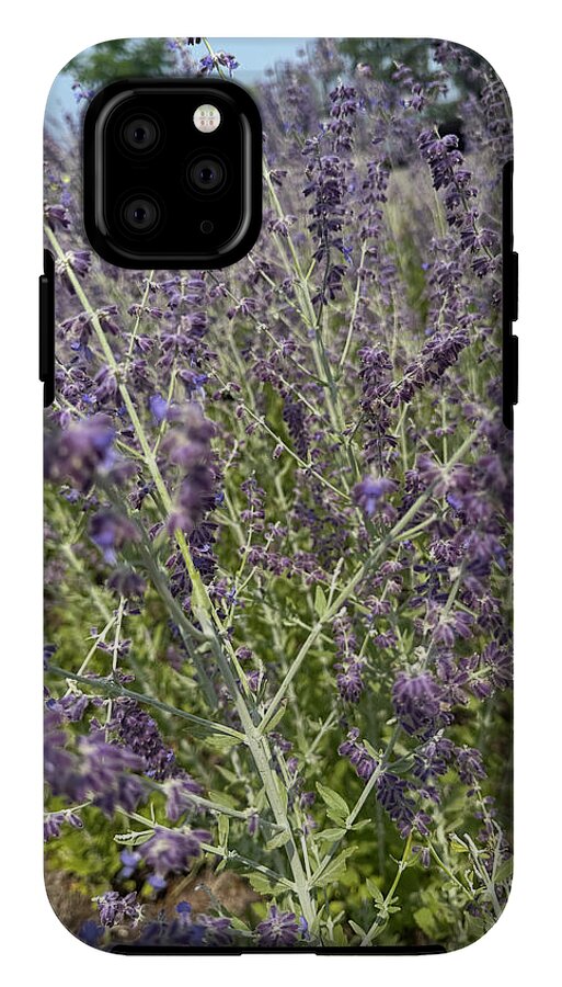 Russian Sage - Phone Case