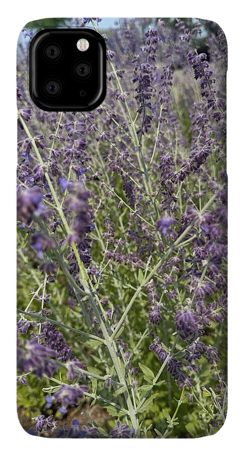 Russian Sage - Phone Case