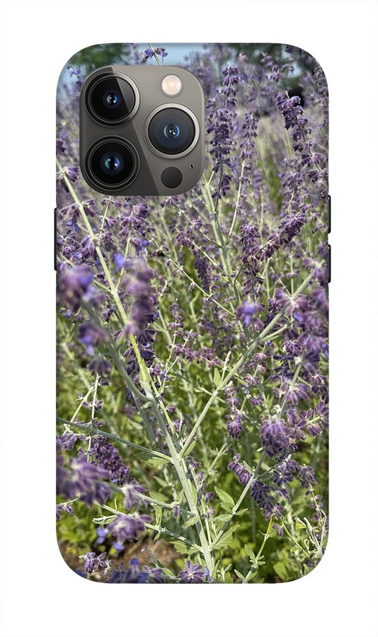 Russian Sage - Phone Case
