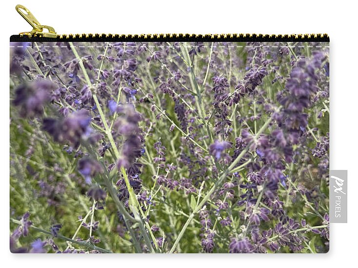 Russian Sage - Zip Pouch