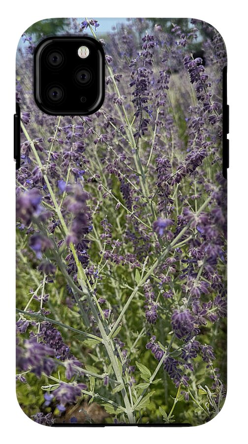 Russian Sage - Phone Case