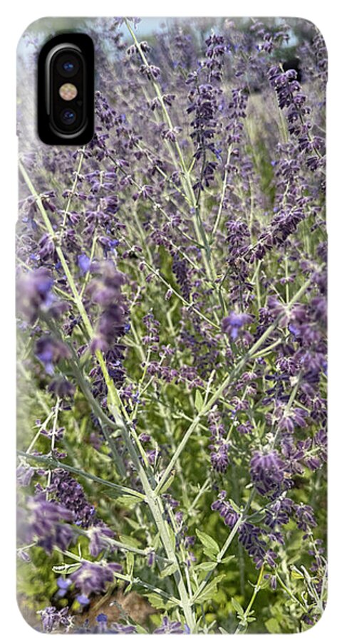 Russian Sage - Phone Case