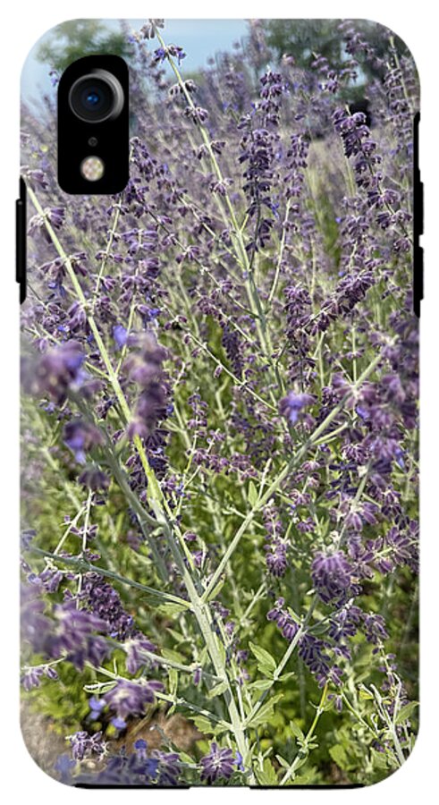 Russian Sage - Phone Case