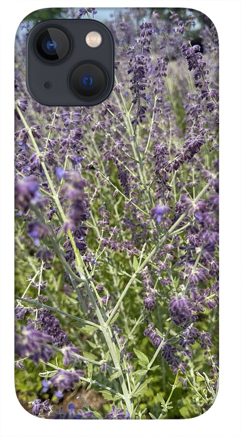 Russian Sage - Phone Case