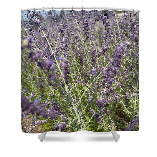 Russian Sage - Shower Curtain