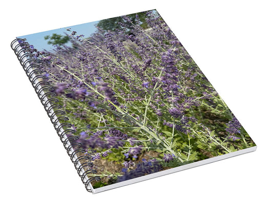 Russian Sage - Spiral Notebook