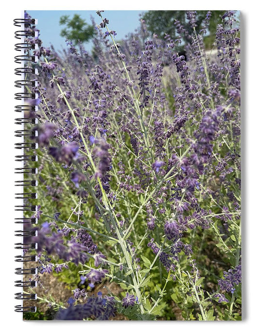 Russian Sage - Spiral Notebook