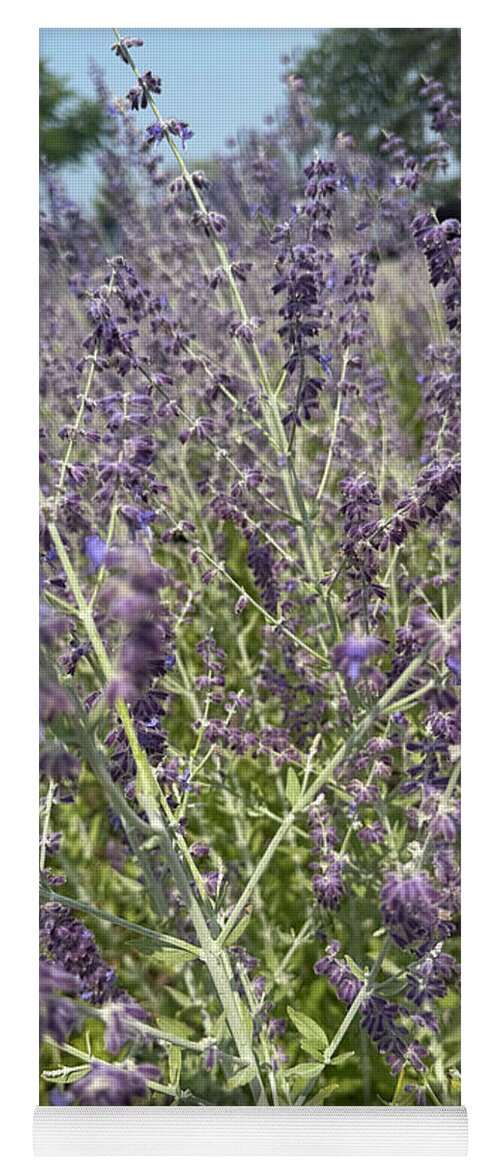 Russian Sage - Yoga Mat