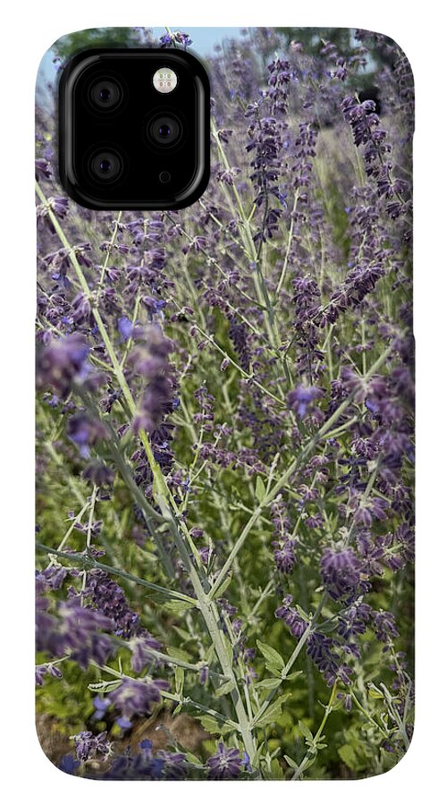 Russian Sage - Phone Case