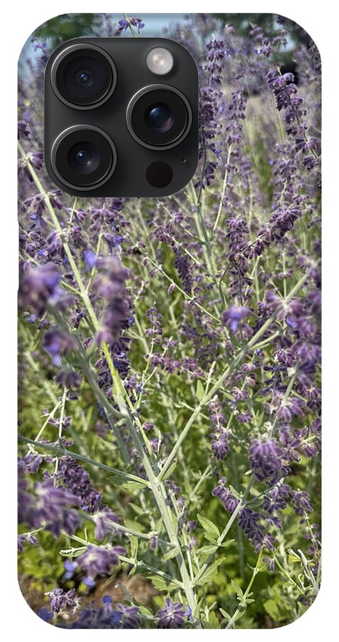 Russian Sage - Phone Case