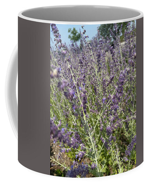 Russian Sage - Mug