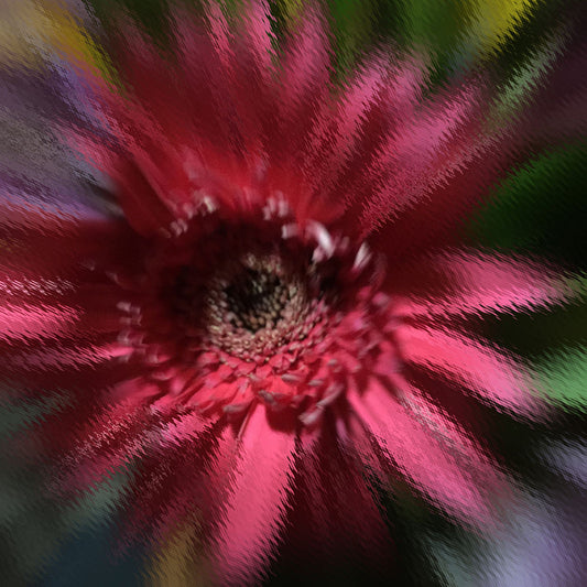 the Liminal Flower Dances Digital Image Download