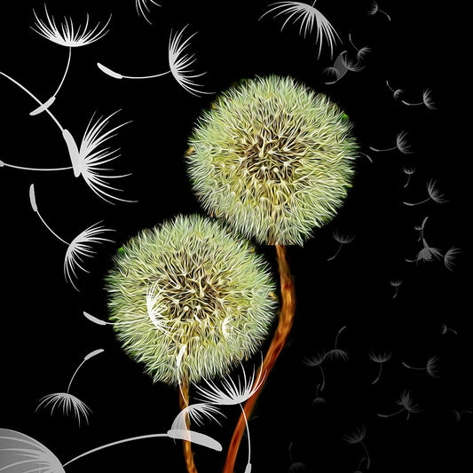 What Do You Wish For Digital Image Download