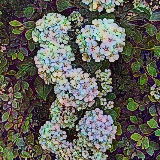 Wildflower Hedge Digital Image Download