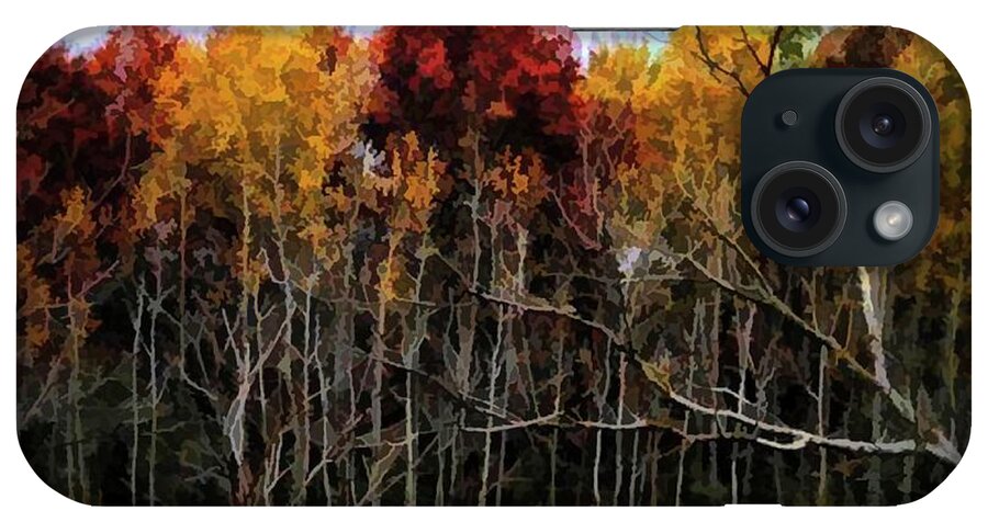 Wisconsin Woods In The Fall - Phone Case