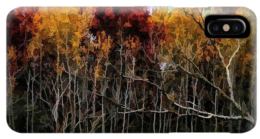 Wisconsin Woods In The Fall - Phone Case