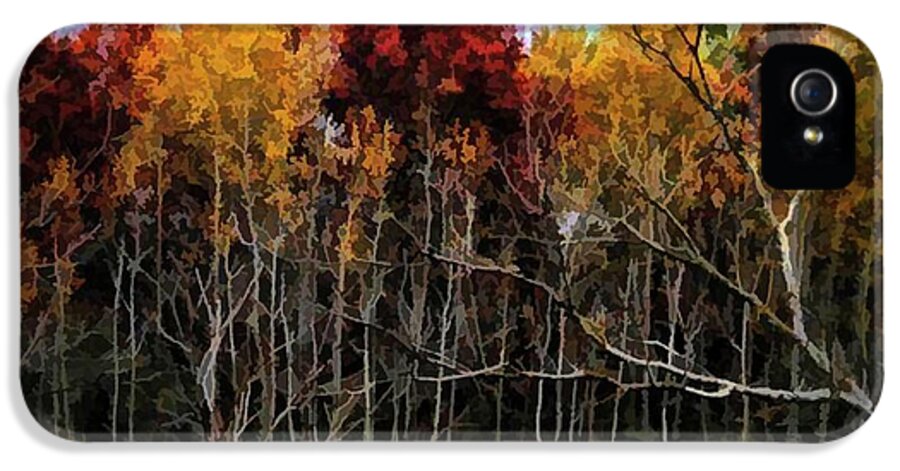 Wisconsin Woods In The Fall - Phone Case