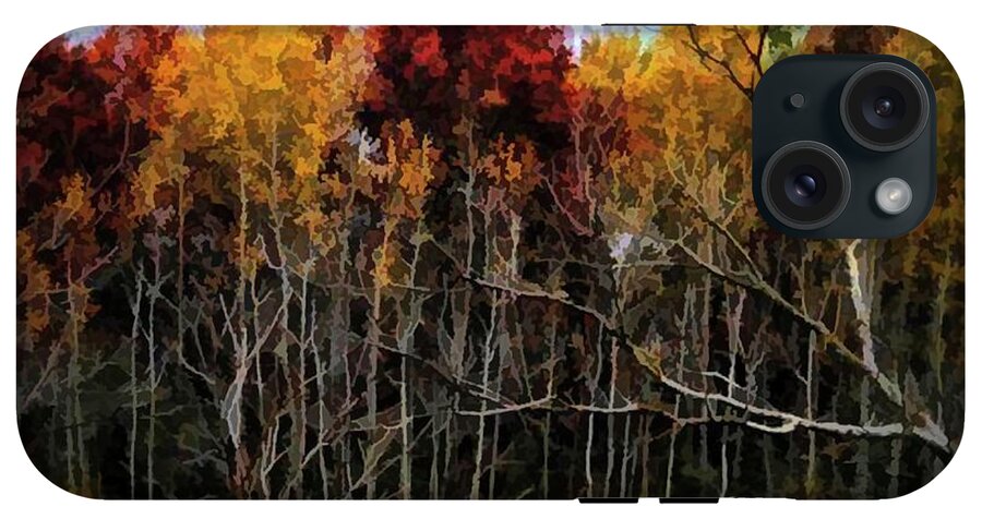 Wisconsin Woods In The Fall - Phone Case
