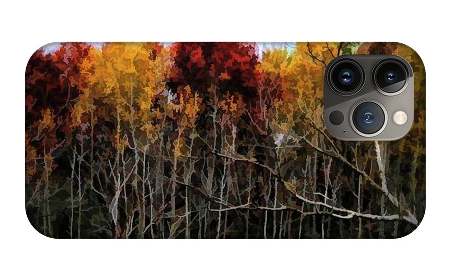 Wisconsin Woods In The Fall - Phone Case