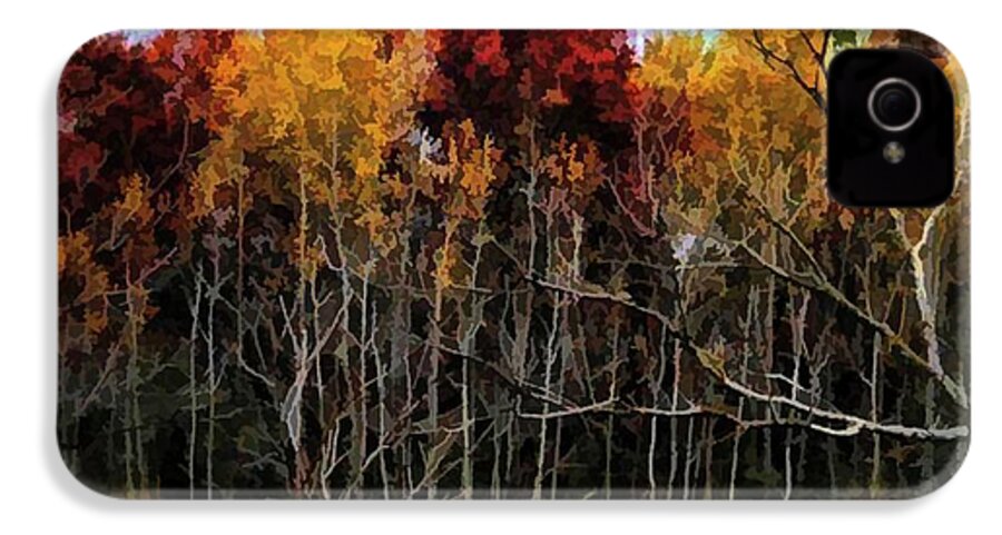 Wisconsin Woods In The Fall - Phone Case