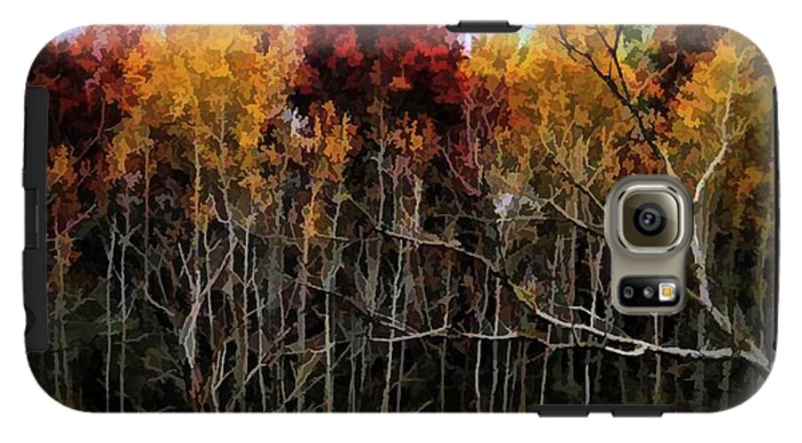Wisconsin Woods In The Fall - Phone Case