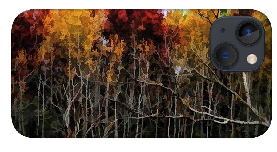 Wisconsin Woods In The Fall - Phone Case