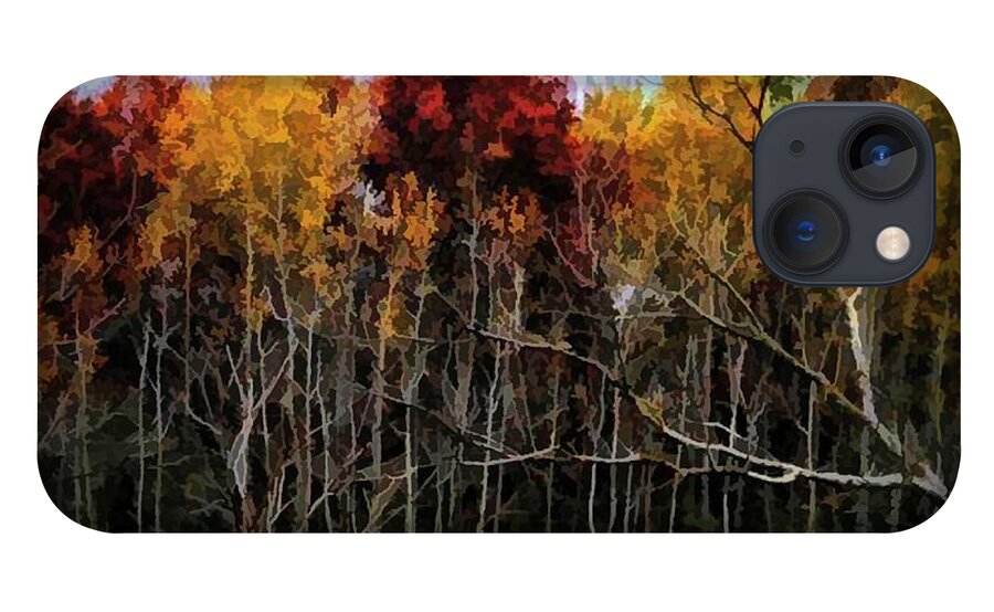 Wisconsin Woods In The Fall - Phone Case