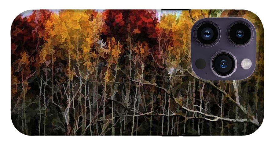 Wisconsin Woods In The Fall - Phone Case