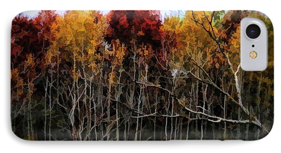 Wisconsin Woods In The Fall - Phone Case