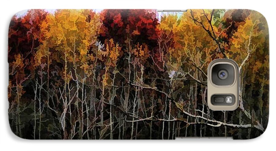 Wisconsin Woods In The Fall - Phone Case