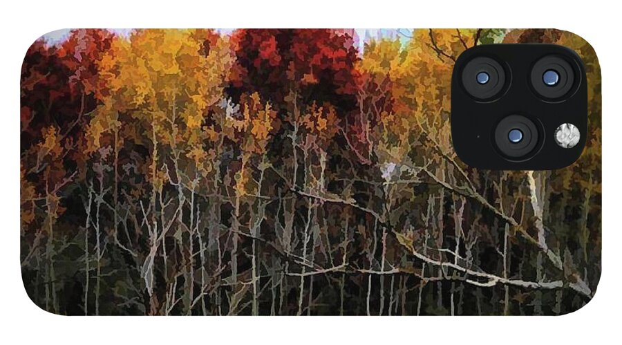 Wisconsin Woods In The Fall - Phone Case