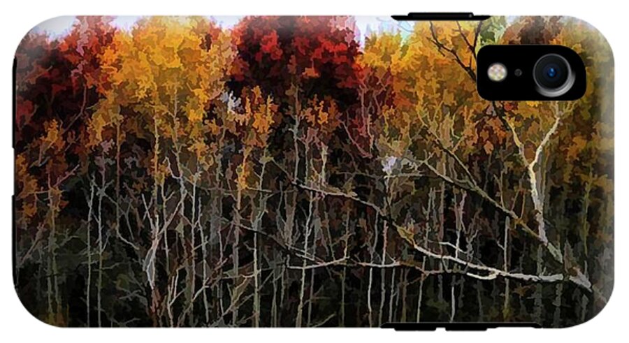 Wisconsin Woods In The Fall - Phone Case