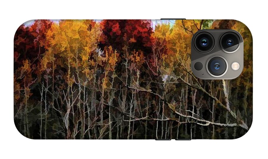 Wisconsin Woods In The Fall - Phone Case