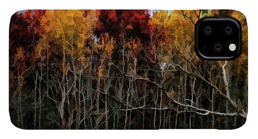 Wisconsin Woods In The Fall - Phone Case
