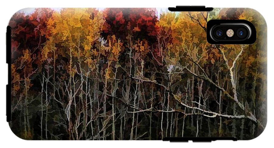 Wisconsin Woods In The Fall - Phone Case