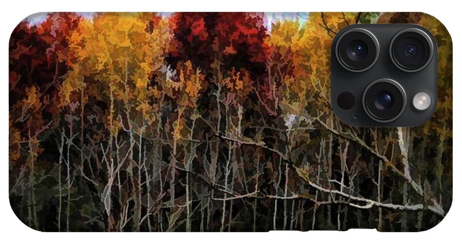 Wisconsin Woods In The Fall - Phone Case