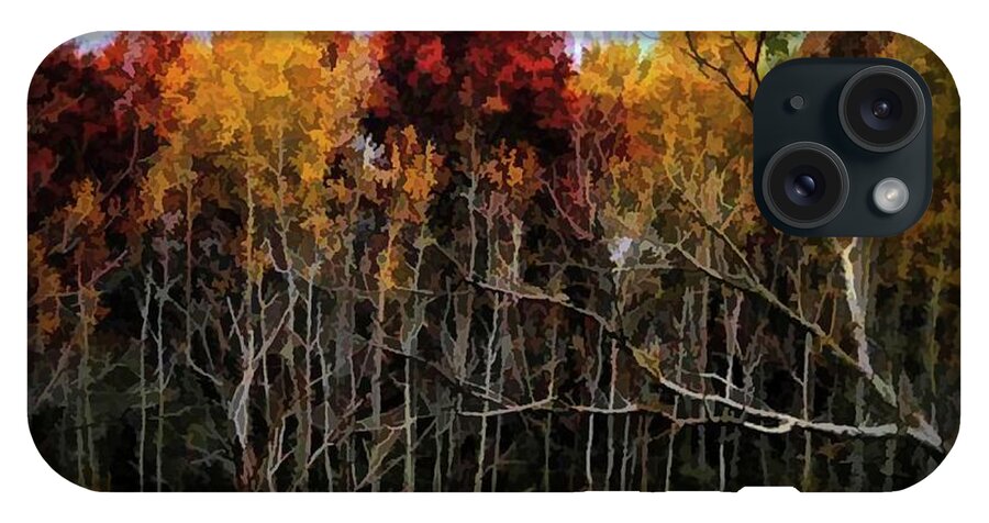 Wisconsin Woods In The Fall - Phone Case