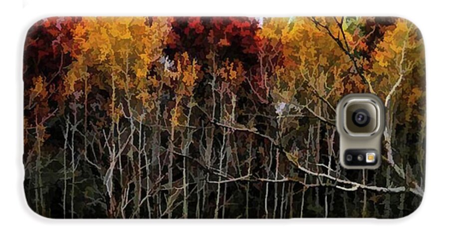 Wisconsin Woods In The Fall - Phone Case