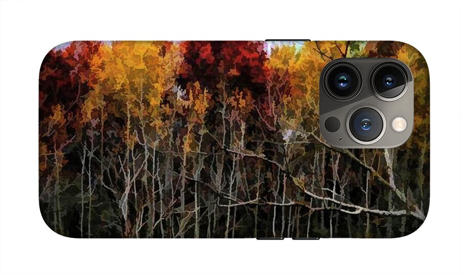 Wisconsin Woods In The Fall - Phone Case