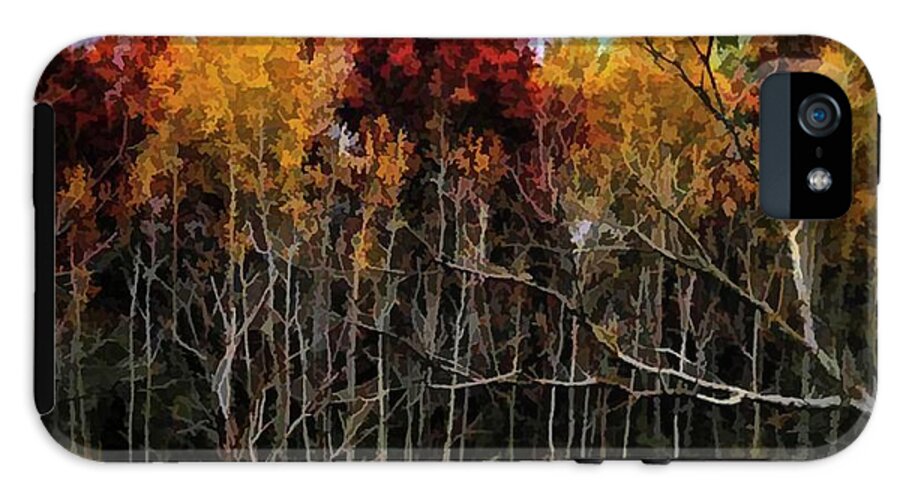 Wisconsin Woods In The Fall - Phone Case