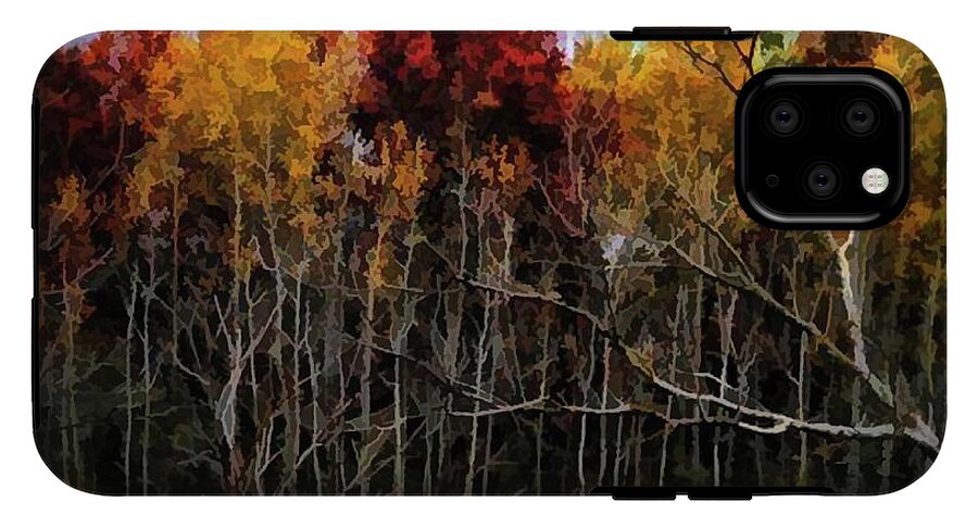 Wisconsin Woods In The Fall - Phone Case