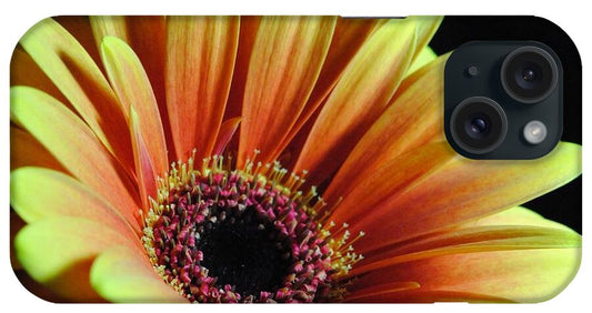 Yellow Orange Daisy - Phone Case
