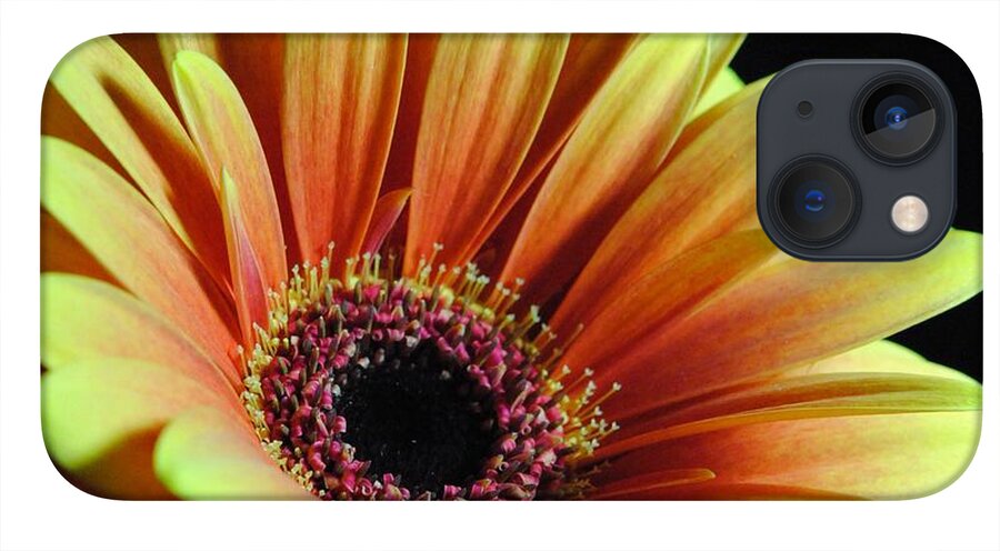 Yellow Orange Daisy - Phone Case