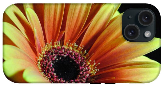 Yellow Orange Daisy - Phone Case