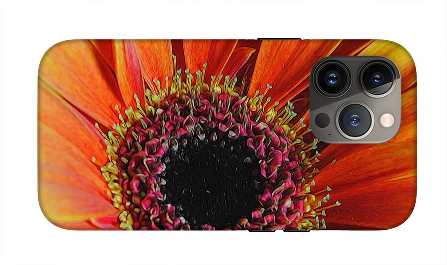 Yellow Orange Daisy Close Up - Phone Case