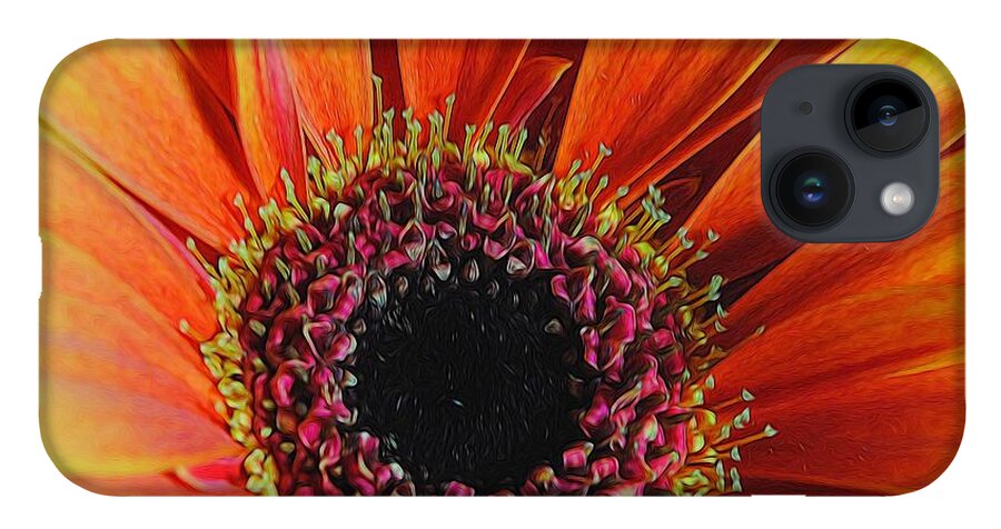 Yellow Orange Daisy Close Up - Phone Case