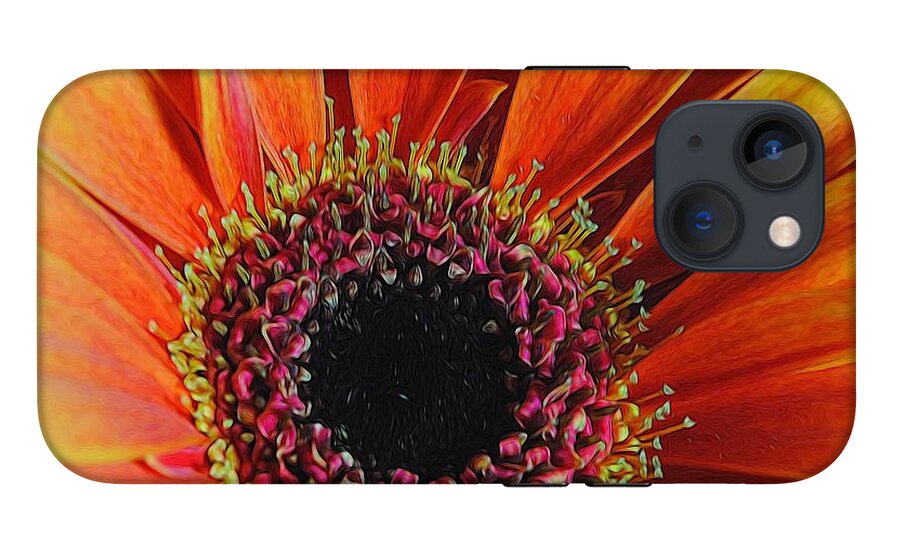 Yellow Orange Daisy Close Up - Phone Case