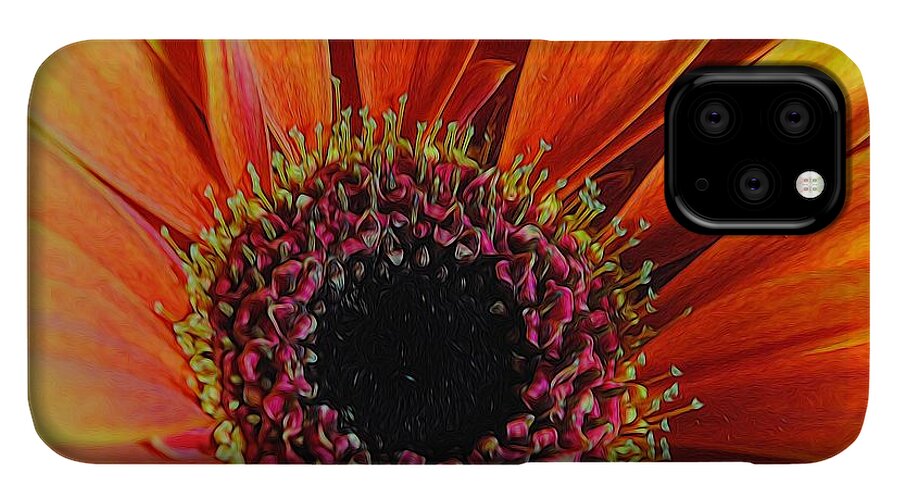 Yellow Orange Daisy Close Up - Phone Case